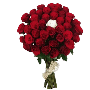 Un bouquet oriental d’amour profond.